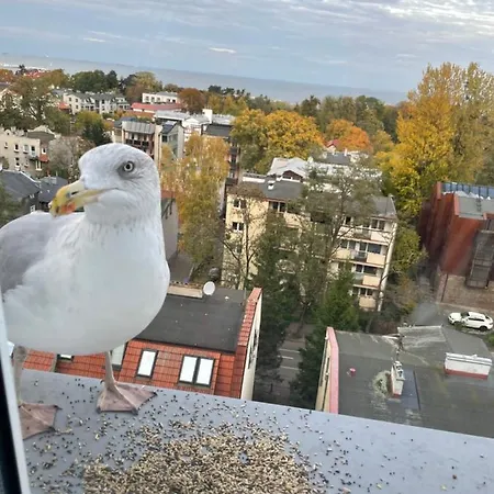 Karlikowska Z Widokiem Na Morze * Sopot