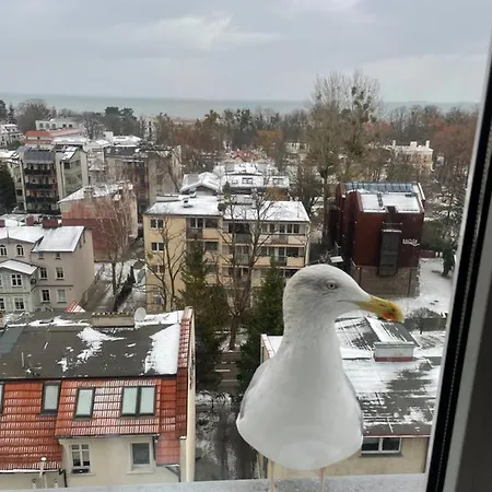 Karlikowska Z Widokiem Na Morze 아파트