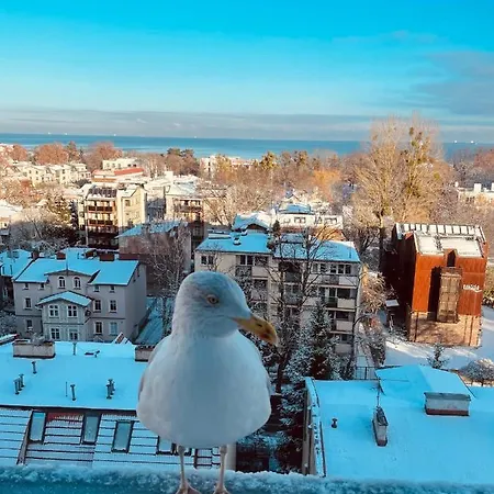 Апартаменти Karlikowska Z Widokiem Na Morze