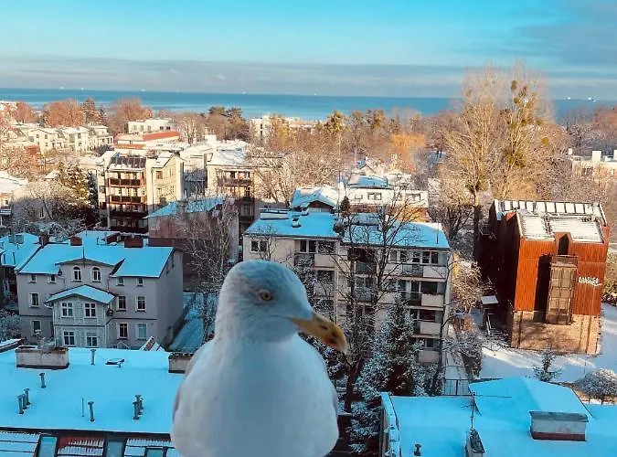 Appartement Karlikowska Z Widokiem Na Morze
